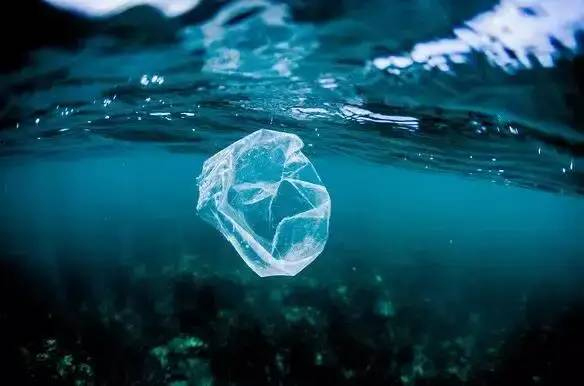 History of plastic reduction policy