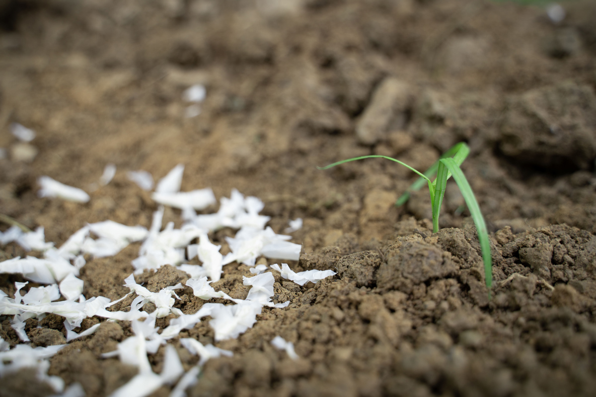 PLA raw materials et Biodegradable plastic