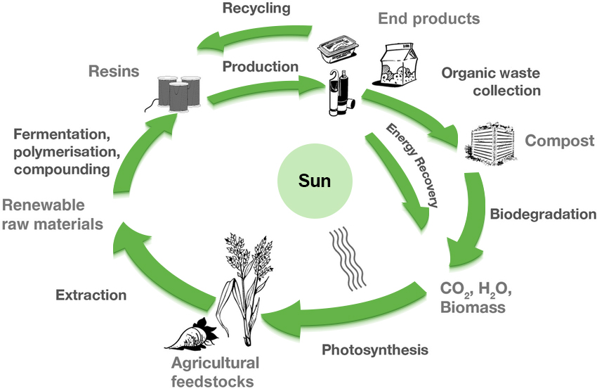 Biodegradable and Compostable