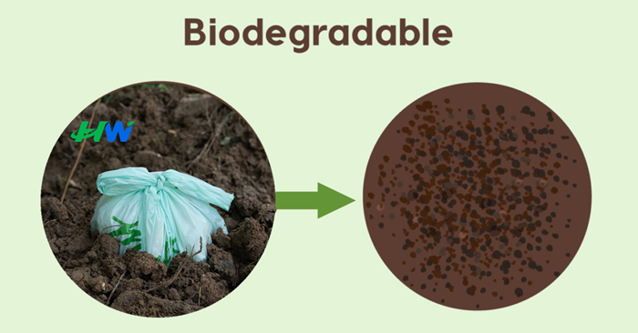 What Is The Difference Between Biodegradable And Compostable?cid=6