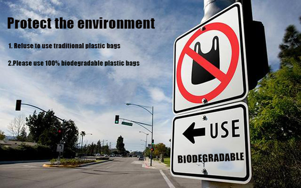 Is Biodegradable Good for The Planet?cid=6