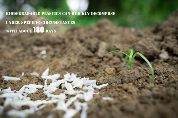 Is Biodegradable Good for The Planet?cid=6