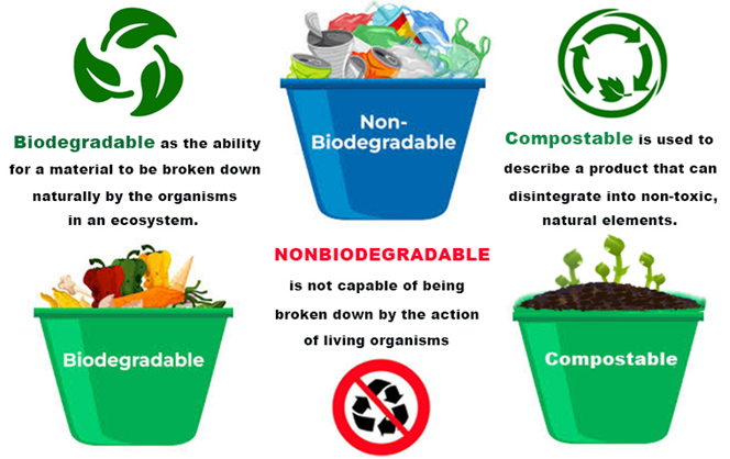 Non-biodegradable VS Biodegradable VS Compostable