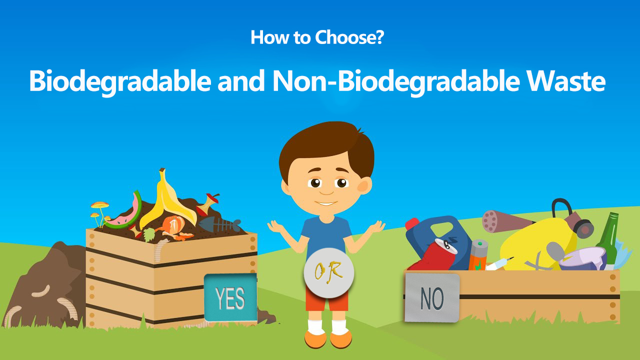 Is resin Biodegradable and is it better than plastic?