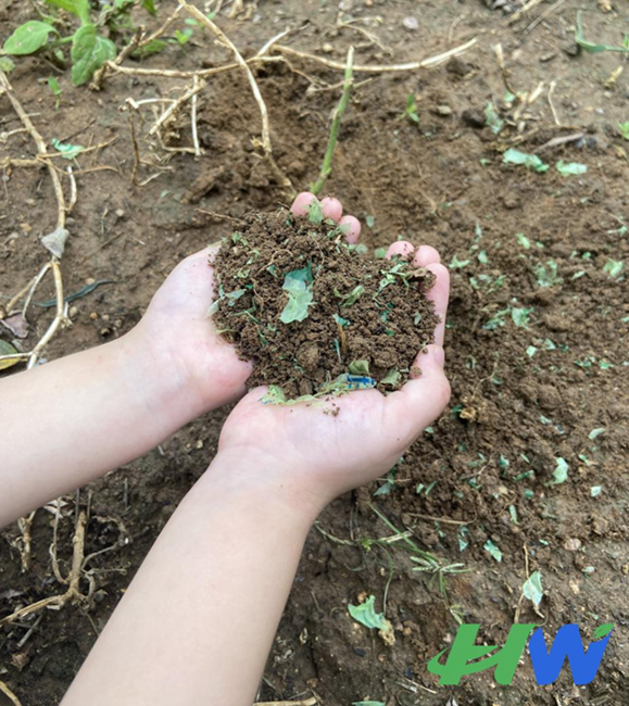 What Is The Difference Between Biodegradable And Compostable, And Which Is More Suitable for Eco-friendly Use?cid=6
