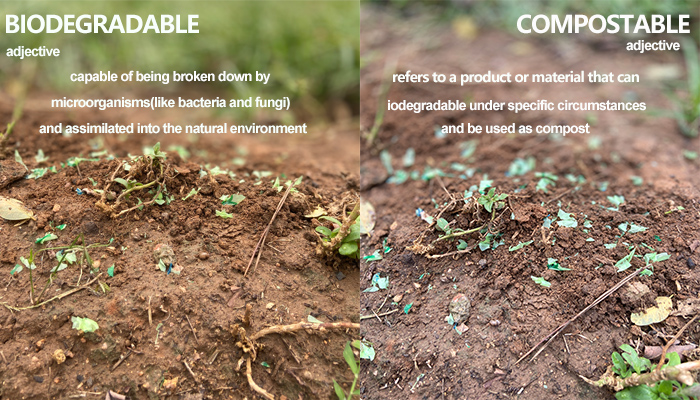 What Is The Difference Between Biodegradable And Compostable, And Which Is More Suitable for Eco-friendly Use?cid=6