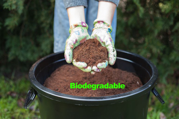 How Does Compostable Degradable Plastic Degrade?cid=6