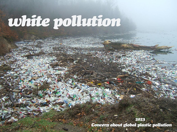 How Much Do You Know About Plastic Pollution?cid=6
