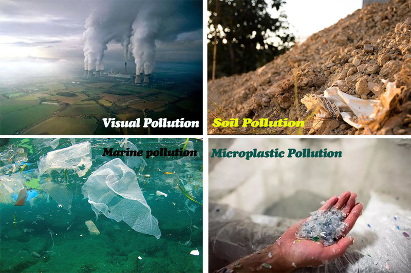 How Much Do You Know About Plastic Pollution?cid=6
