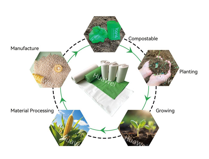 Do You Really Need Compostable Bags For Your Food Scraps?cid=6