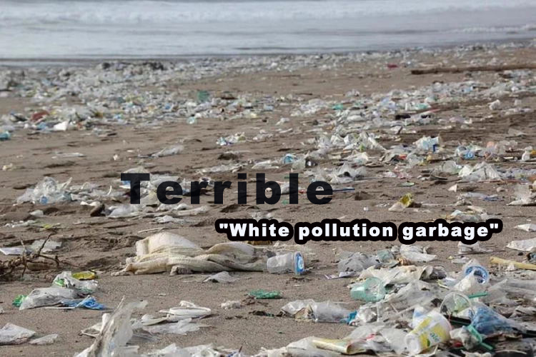 Plastic Waste Polluting The Environment