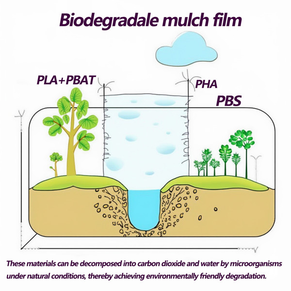 Biodegradable Mulch Film Vs Non Degradable Plastic Film