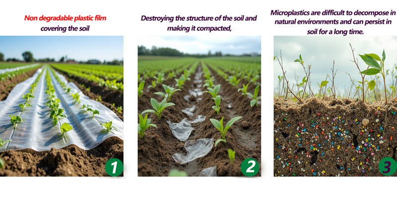 Biodegradable Mulch Film Vs Non Degradable Plastic Film
