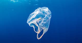 The harm of plastic to the environment