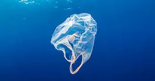 The harm of plastic to the environment