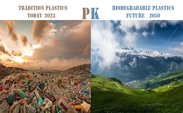 Is Biodegradable Good for The Planet?