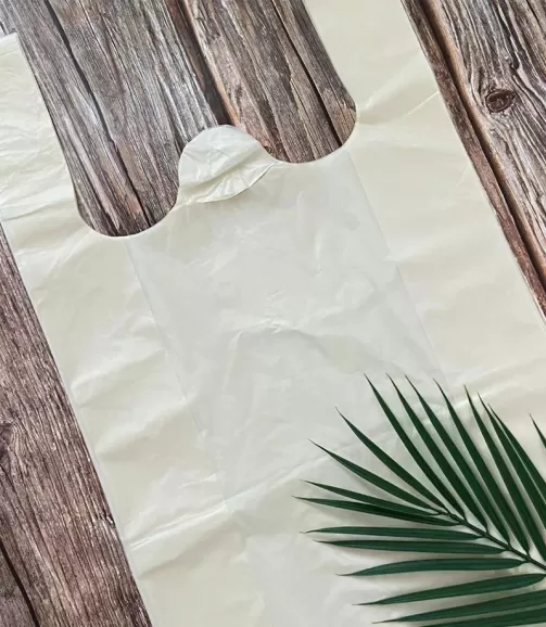 Custom Compostable Shopping Bags