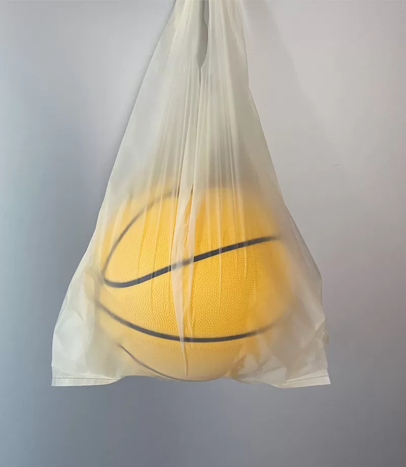 Compostable Bags Wholesale