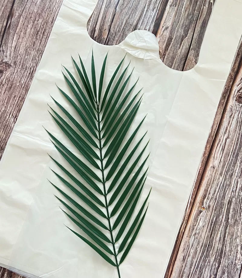 Custom Compostable Shopping Bags