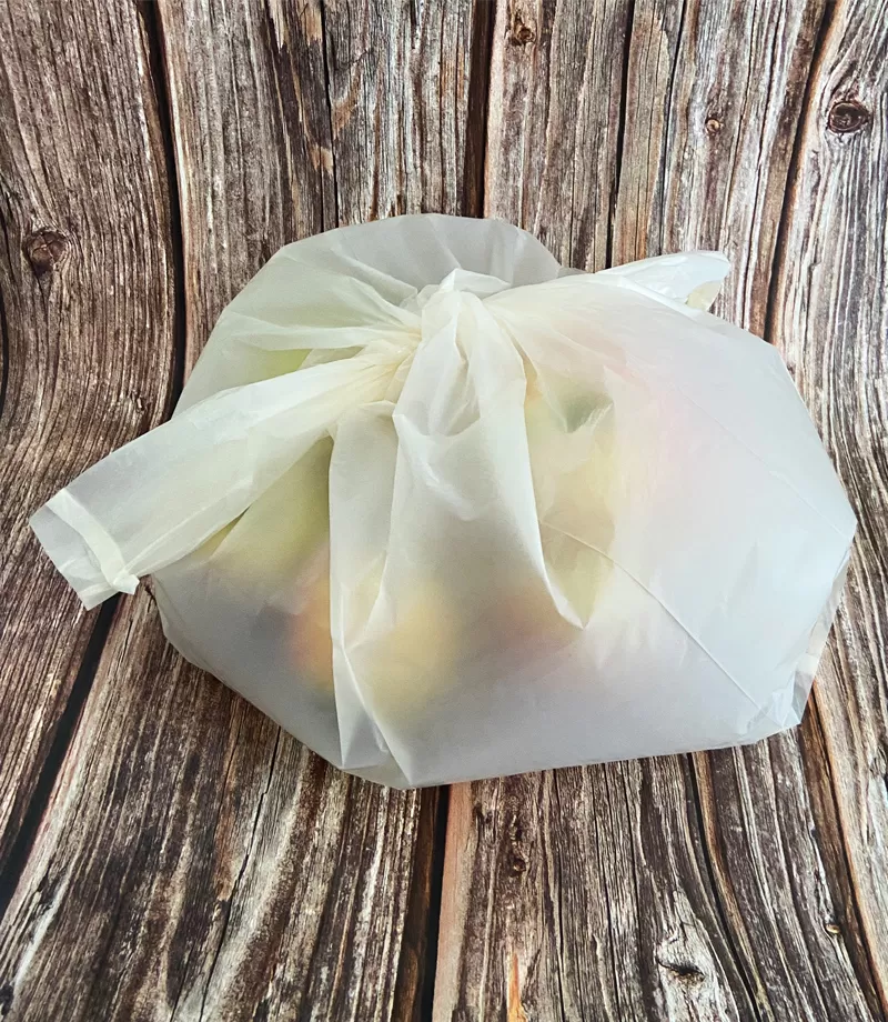 Custom Compostable Shopping Bags