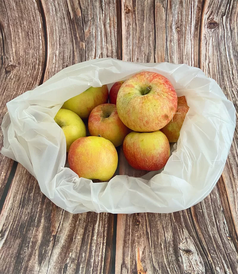 Custom Compostable Shopping Bags