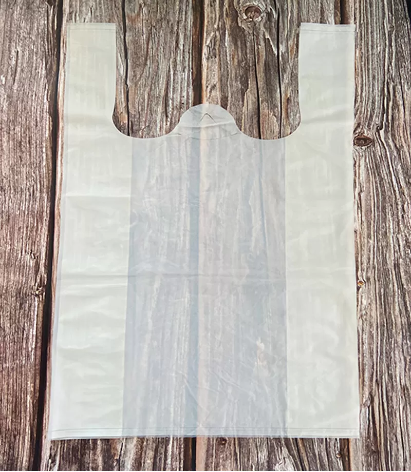 Custom Compostable Shopping Bags