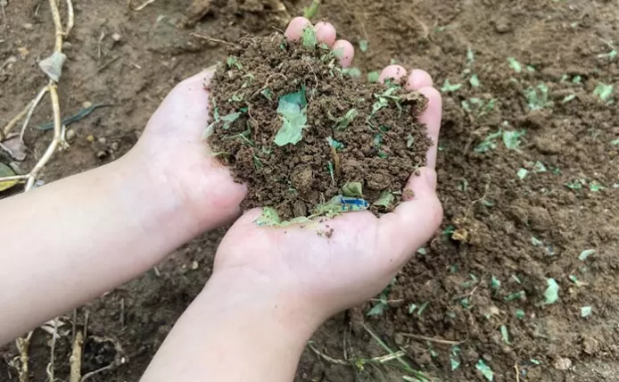 What Is The Difference Between Biodegradable And Compostable, And Which Is More Suitable for Eco-friendly Use?