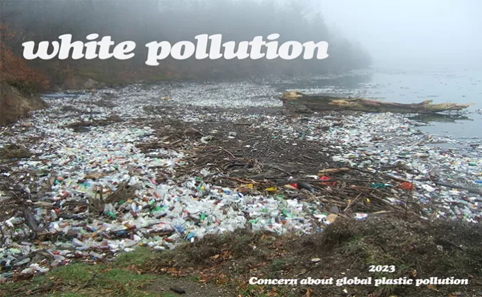 How Much Do You Know About Plastic Pollution?