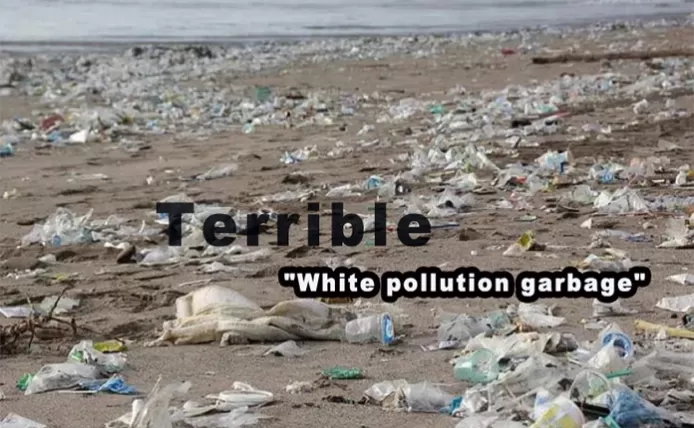 The Harm of Plastic Pollution to Nature