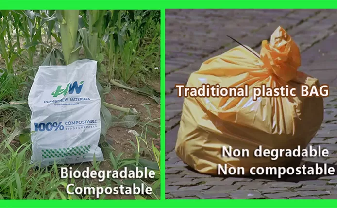 What is Biodegradable Plastic?