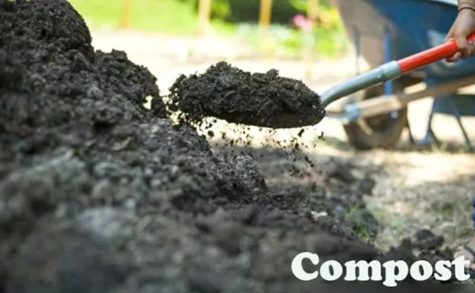 Benefits of Home Compostable Products