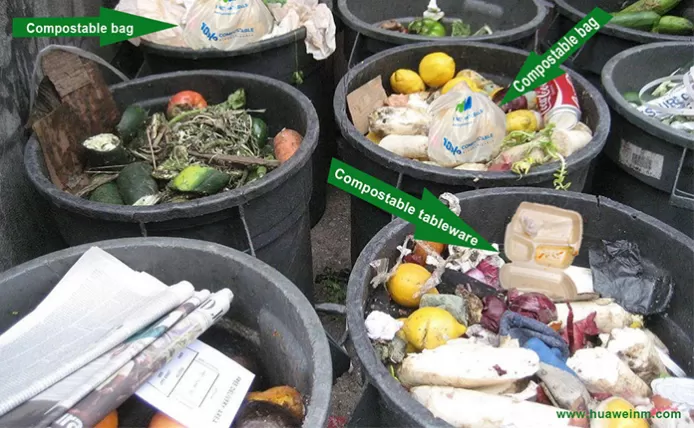 Can Commercial Compostable Products Be Disposed of In My Home Compost Bin?