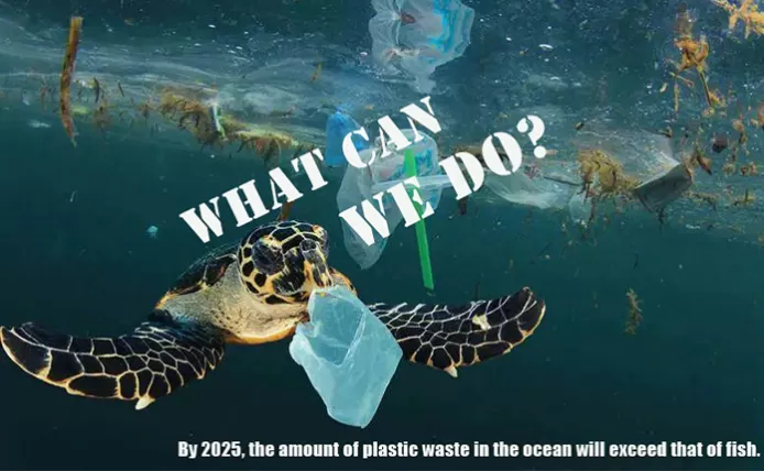 The Growing Importance of Compostable Plastics in Food Packaging