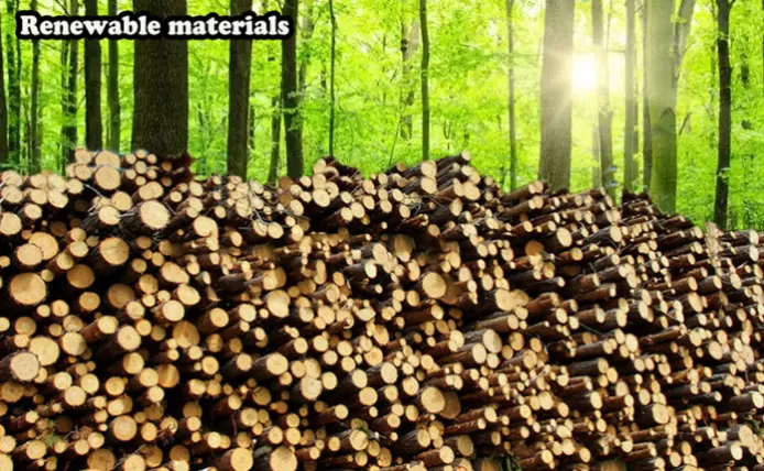 What Is The Difference Between "Renewable", "Recyclable", And "Biodegradable" Plastics?