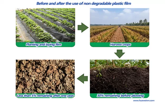 The Differences Between Biodegradable Mulch Film And Non-biodegradable Mulch Film