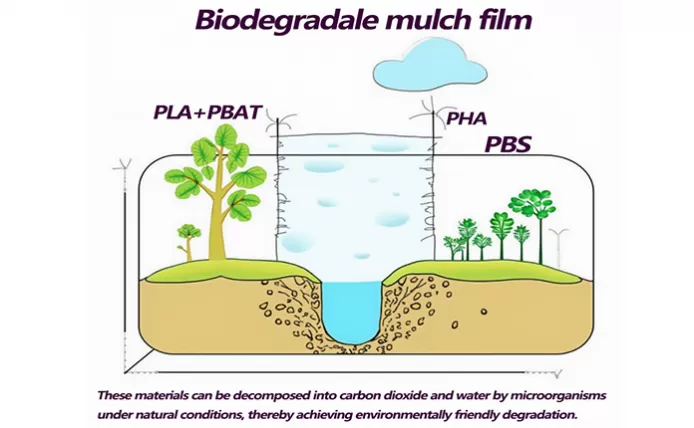 Biodegradable Mulch Film Vs Non Degradable Plastic Film