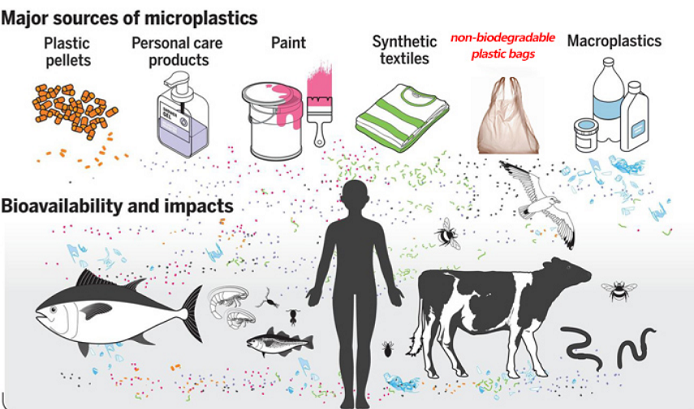The Harm of Non Degradable Plastics to Human Health