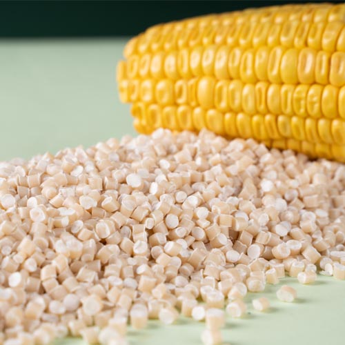 By facilitating the decomposition of products made from these resins, there's a significant reduction in waste accumulation in landfills and oceans.
