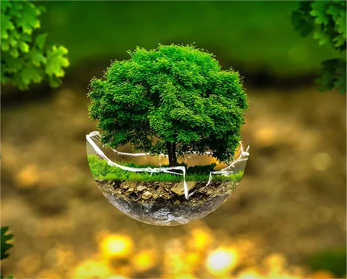 How our products Benefit the Environment